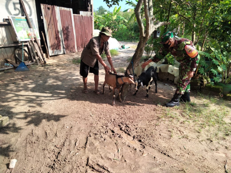 Sertu Sugianto Sambangi Peternak Yang Ada di Wilayah Binaannya