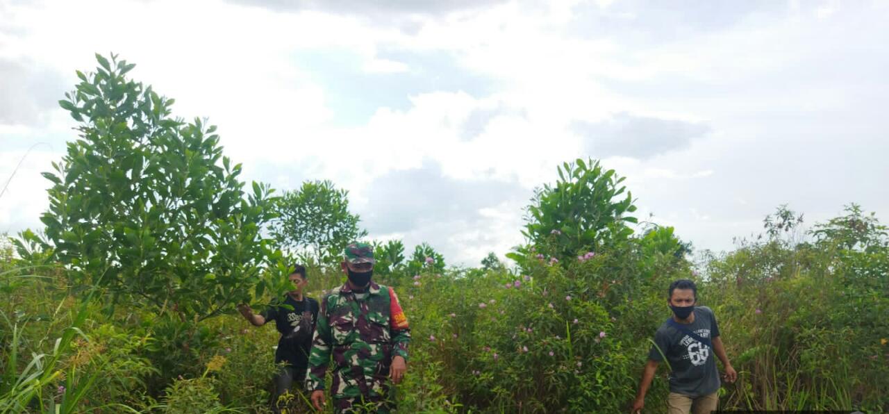 Sertu Abu Kasim Ajak Masyarakat Jaga Hutan