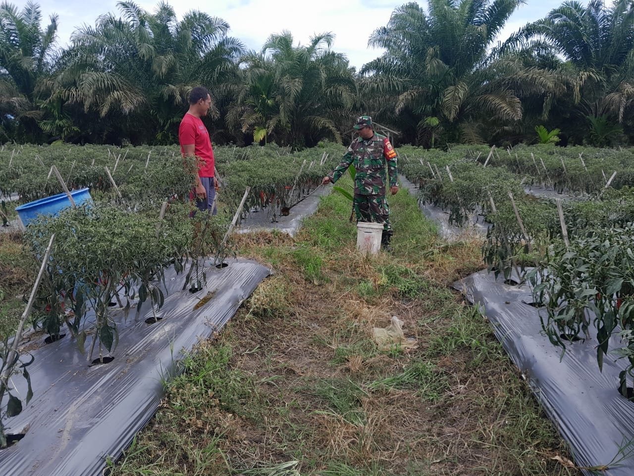 Pelaksanaan Pendampingan Karya Nyata Oleh Serda Cerza Katno