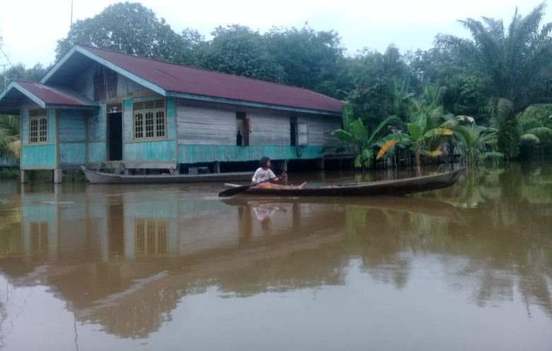 BPBD: 409 KK Terdampak Banjir di Kabupaten Pelalawan