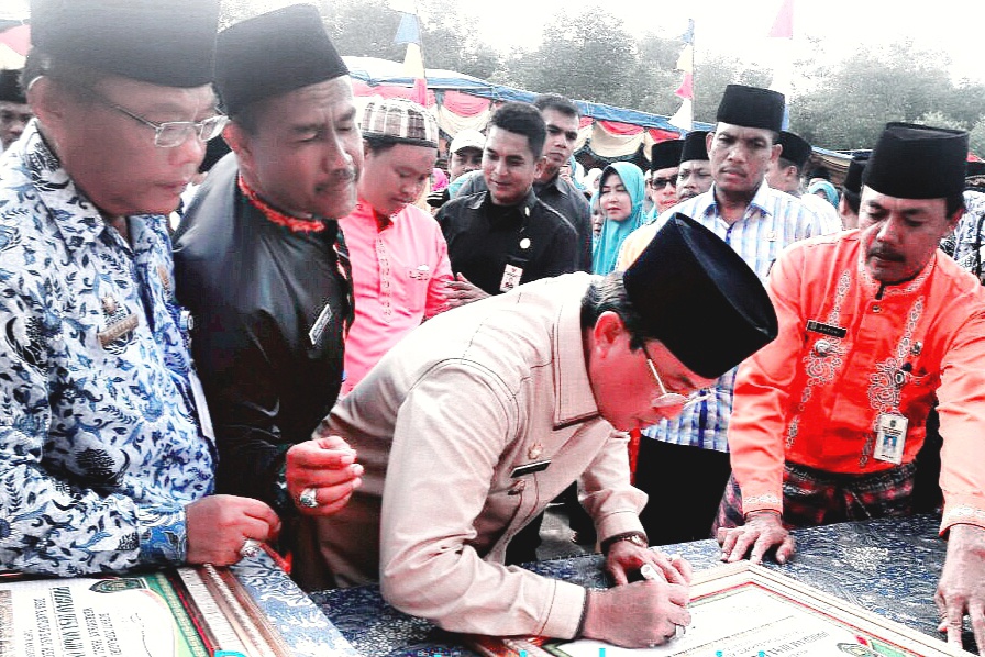 Bupati Inhil Resmikan Program DMIJ di Kecamatan Concong