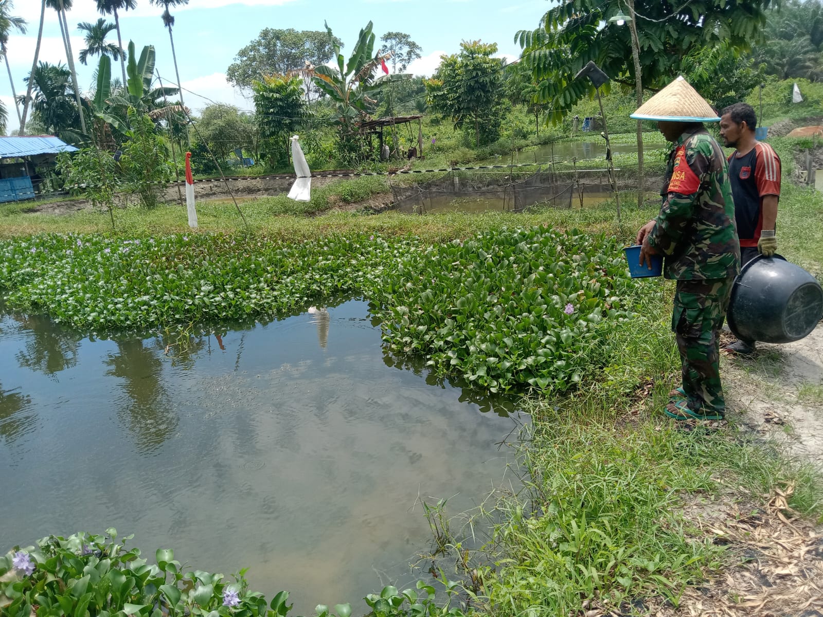 Babinsa Dampingi Peternak Ikan Patin