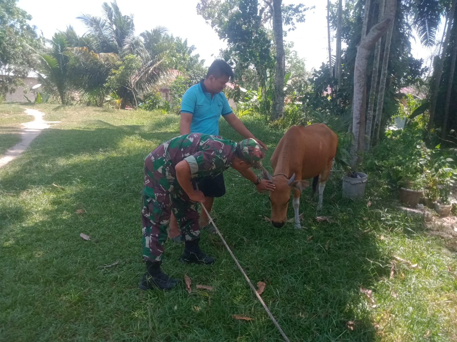Cegah Kerugian Akibat PMK, Serma Sukardi Laksanakan Sosialisasi