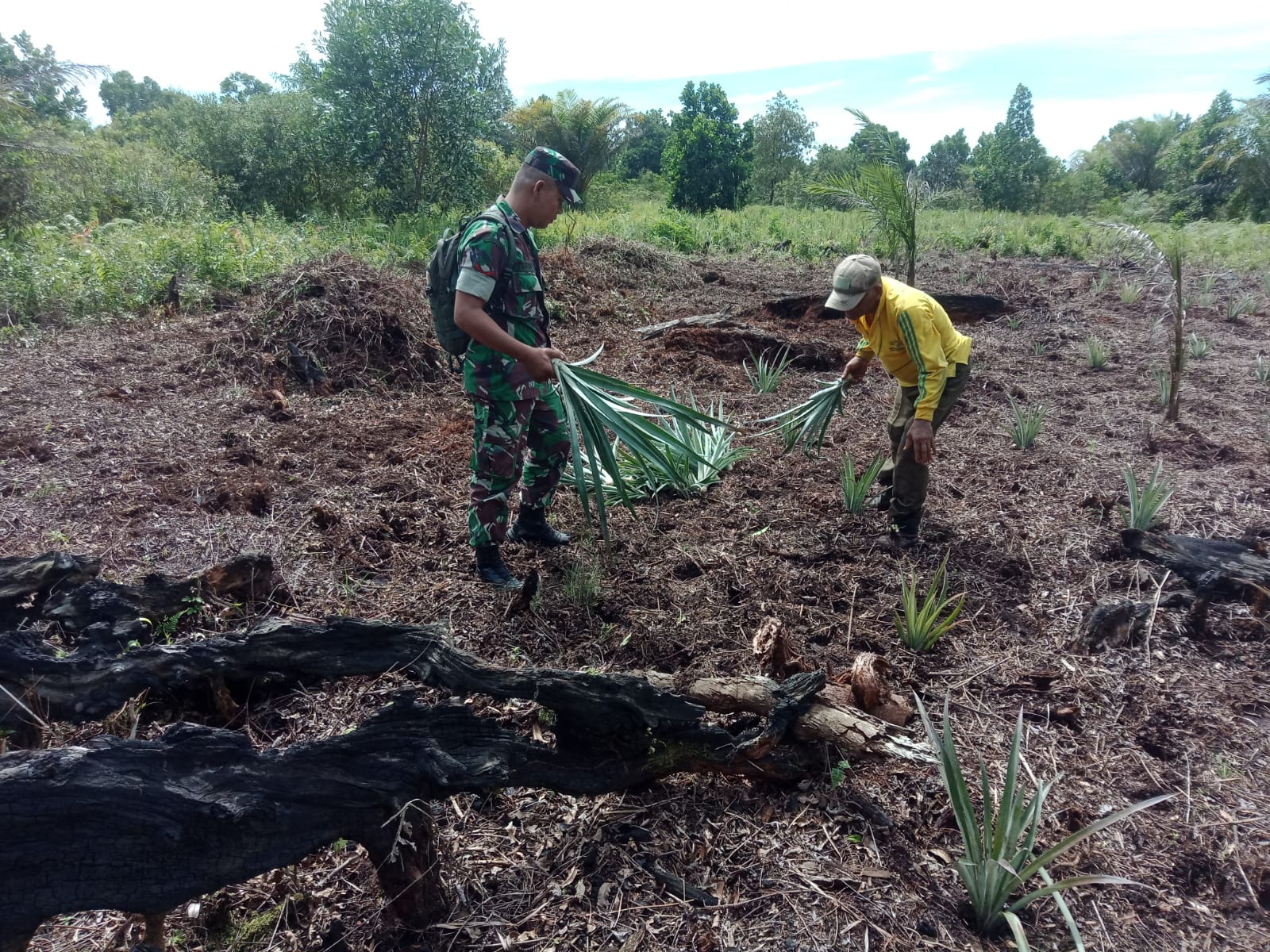 Jaga Ketahanan Pangan, Kopda Togatorop Sambangi Petani