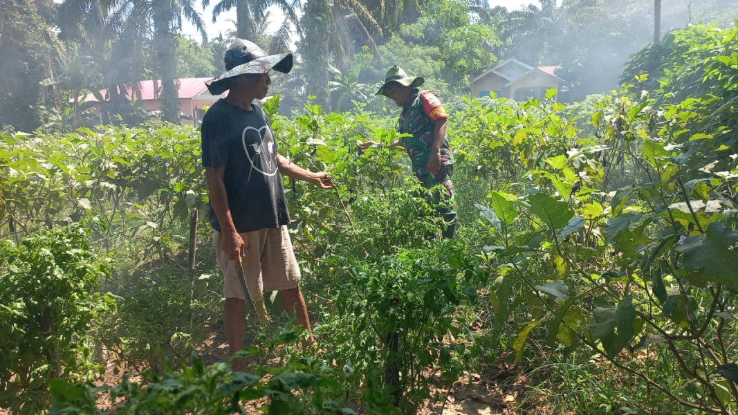 Serda Roni Sandra Dampingi Petani di Wilayah Binaannya