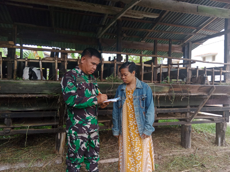 Sertu Mahyudin Berikan Pendampingan Kepada Peternak di Wilayah Binaannya