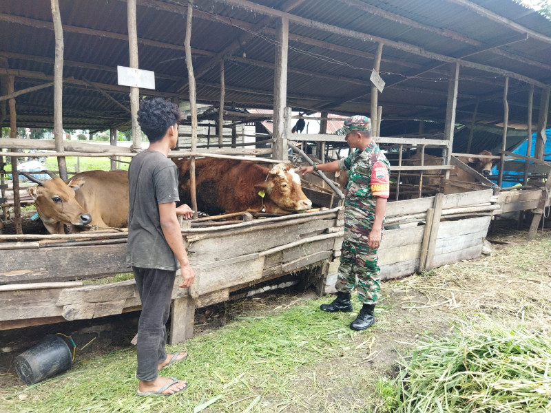 Pastikan Wilayah Binaannya Aman dari PMK, Sertu Abu Kosim Laksanakan Sosialisasi Pencegahan