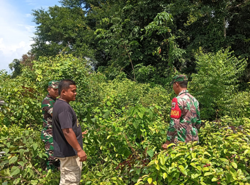 Cegah Karhutla, Babinsa Serda Aldo dan Kopda Ricko Sosialisasikan Larangan Membakar Lahan