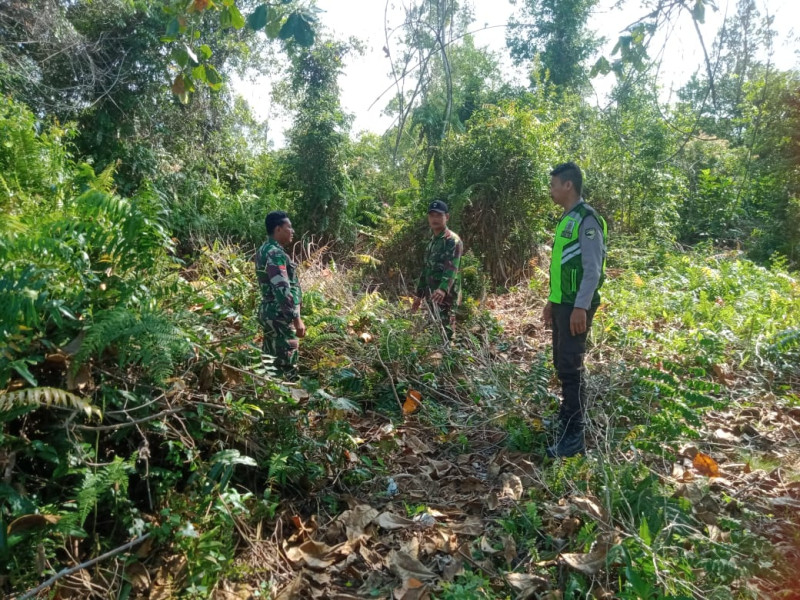 Semangat Serda K Sinaga Melakukan Patroli Cegah Karhutla