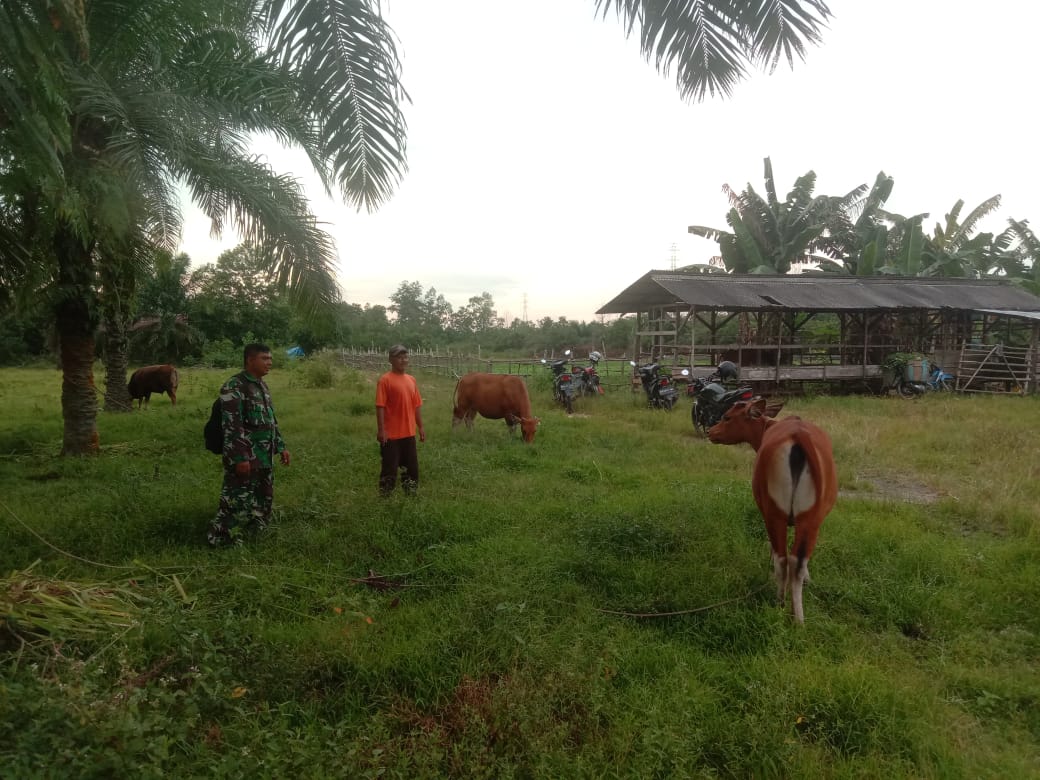 Serda Cerza Katno Laksanakan Giat Cegah PMK