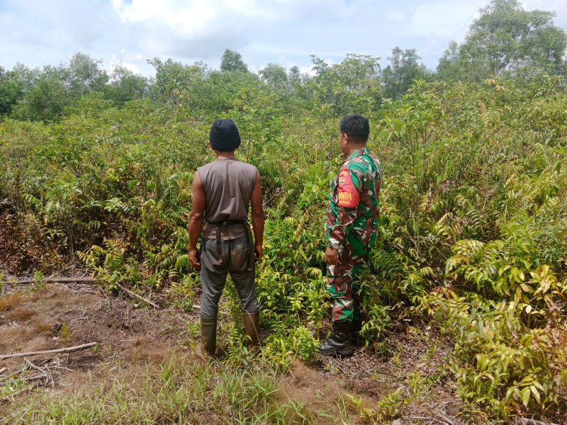 Koramil-01/Dumai Giat Patroli Cegah Karhutla, Sertu Mahyudin Berikan Sosialisasi