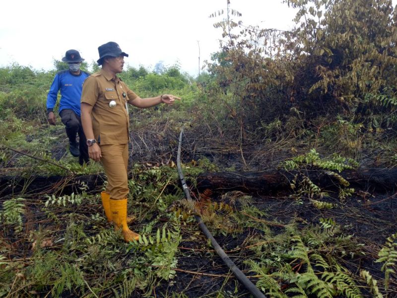 Kebakaran 5 Hektare Lahan Gambut Kampung Penyengat Berhasil Dipadamkan