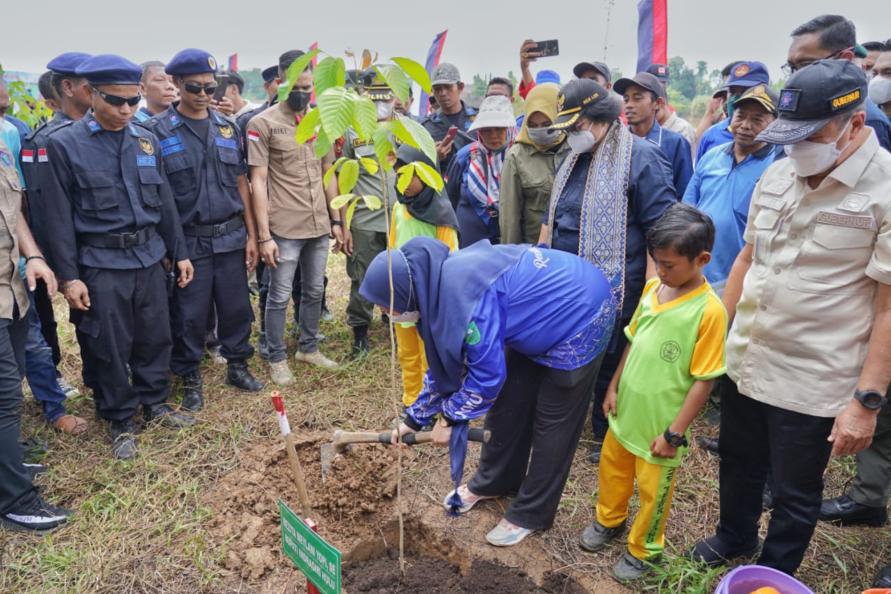 Menteri LHK Tanam Pohon di Inhu, Dukung Pemberdayaan Suku Talang Mamak dan Melayu Tua