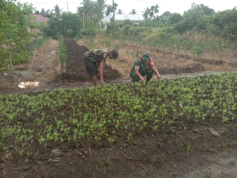 Giat Serda Agustinus Dampingi Petani Bayam