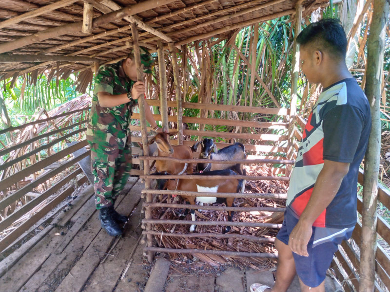 Giat Serda Ade D Purba Laksanakan Sosialisasi Pencegahan PMK