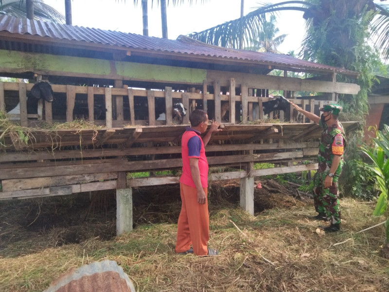 Sertu Sugianto Berikan Penjelasan Tentang Pencegahan PMK Kepada Peternak