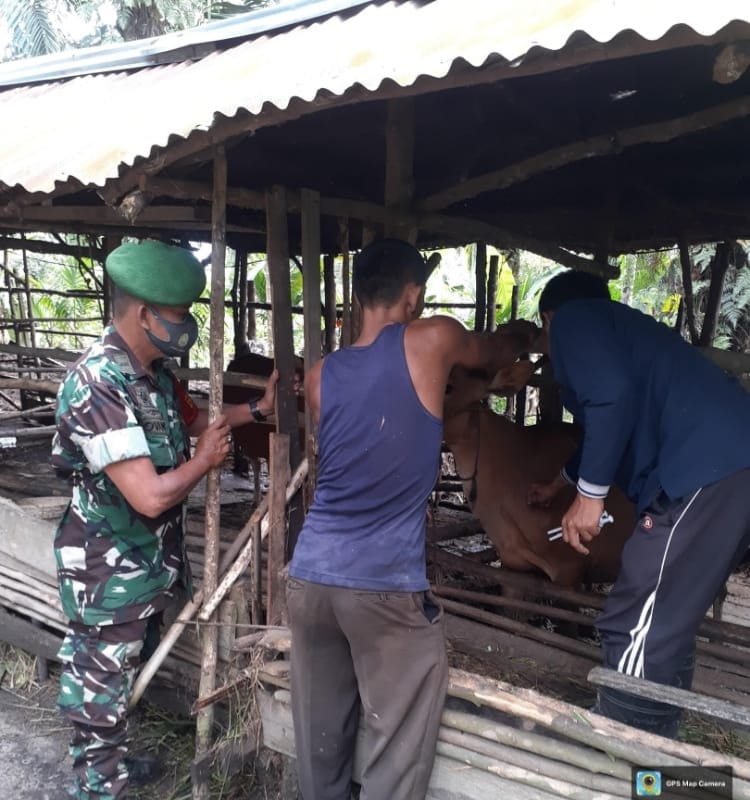 Pelda Tovani Berikan Sosialisasi Pencegahan PMK Kepada Peternak Binaan