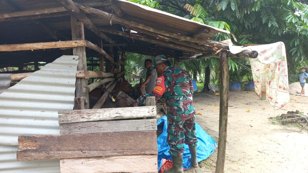 Peternak Marianto Dapatkan Edukasi Dari Babinsa Sertu Roni Sandra