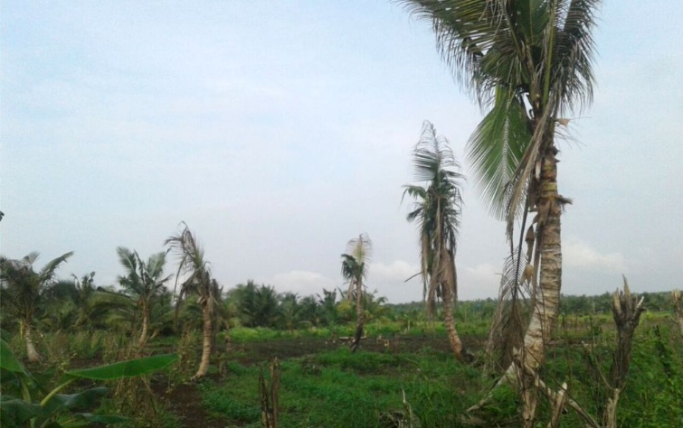 Petani Desa Tanjung Simpang Kab Inhil Tuntut PT THIP Bertanggung Jawab