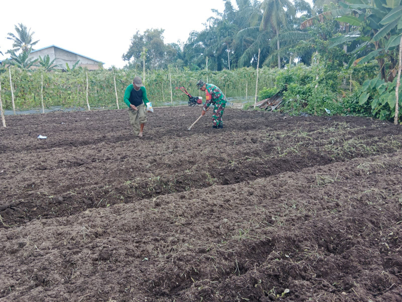 Sertu Mahyudin Laksanakan Giat Tabur Benih Sayur Bayam