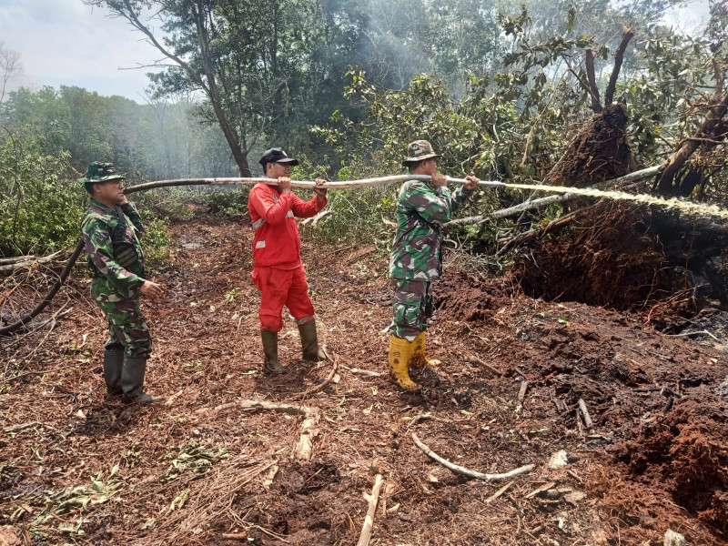 Pelaksanaan Patroli di Hutan Bekas Kebakaran Dipimpin Oleh Danramil PWK 04