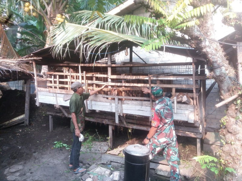 Sertu Nono Berikan Sosialisasi Terkait PMK