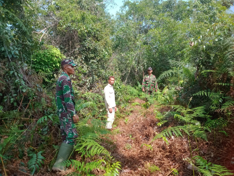 Peninjauan Lahan Untuk Antisipasi Karhutla Oleh Babinsa Koramil 06 Merbau
