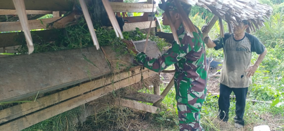 Serda C.J Silalahi Melaksanakan Pengecekan Kesehatan Hewan Ternak