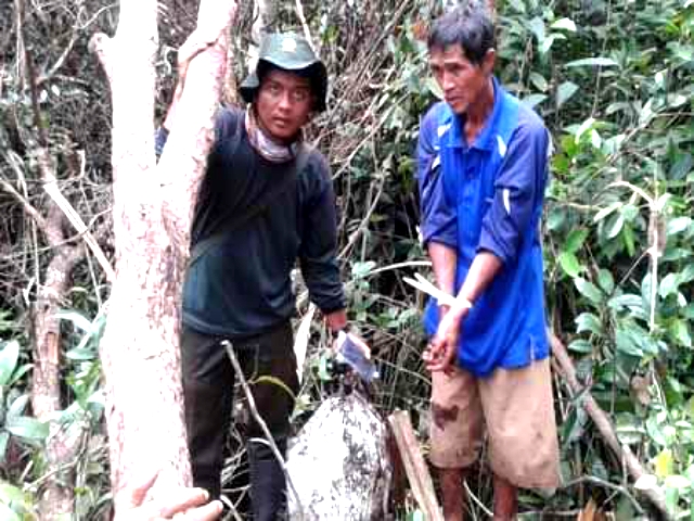 Pelaku Lain Perambah Hutan GSK Ditangkap Patroli Gabungan saat Melintas dan Tertatih