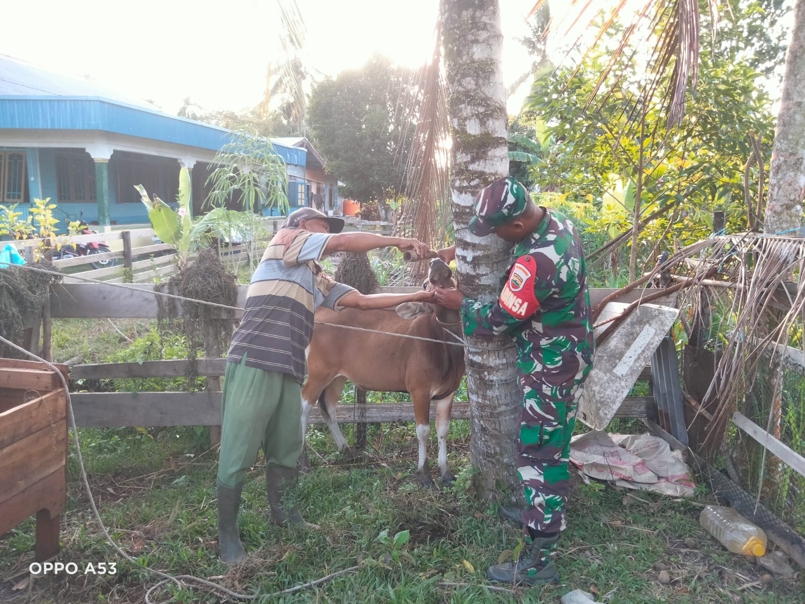 Giat Cegah PMK Oleh Serda Ansari di Wilayah Binaannya