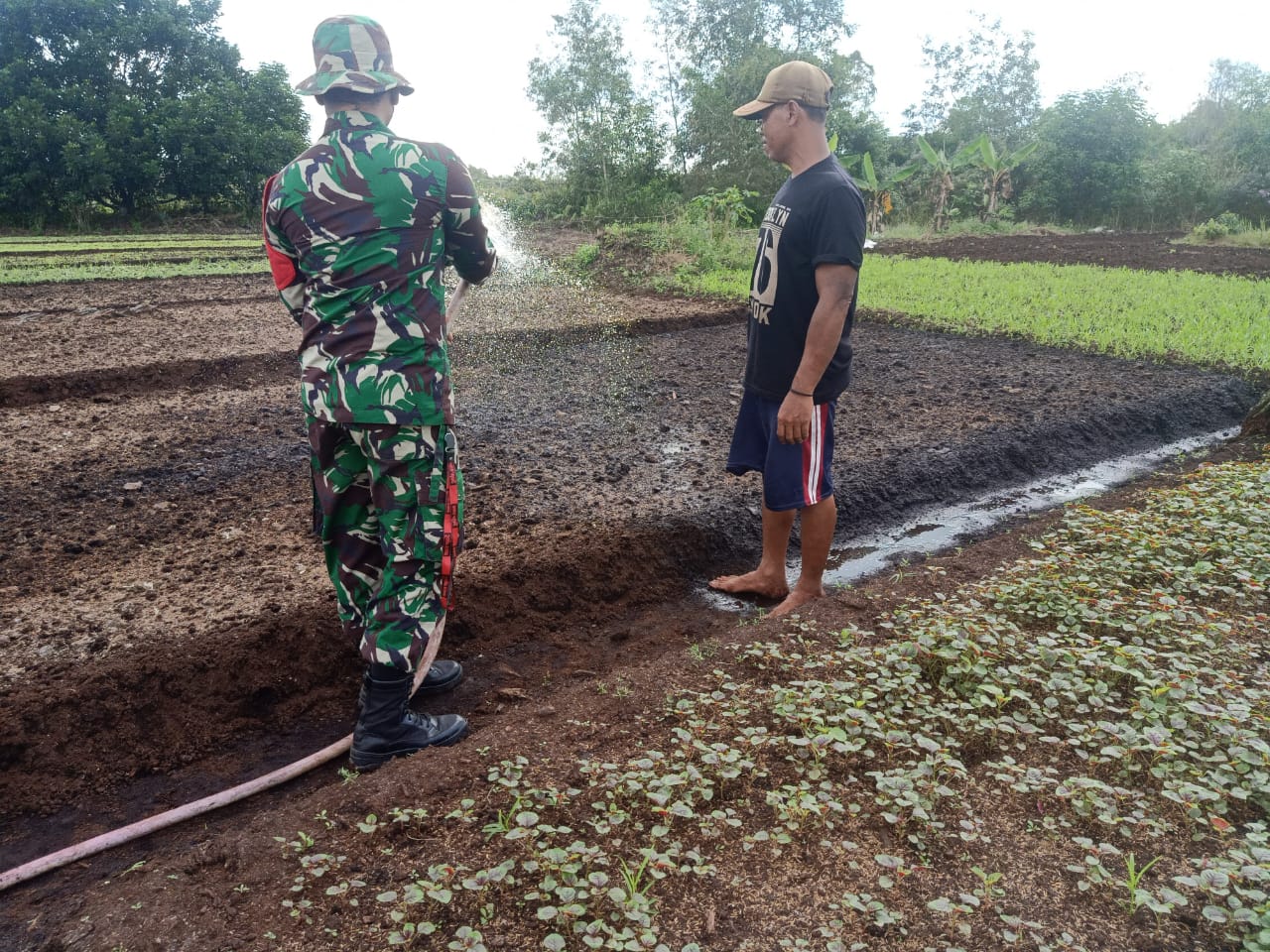 Sosialisasi dan Pendampingan Tanama Sayur Oleh Serda Boby Rahman