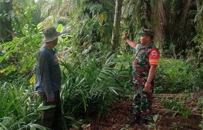 Sertu Sareh Laksanakan Patroli Cegah Karhutla