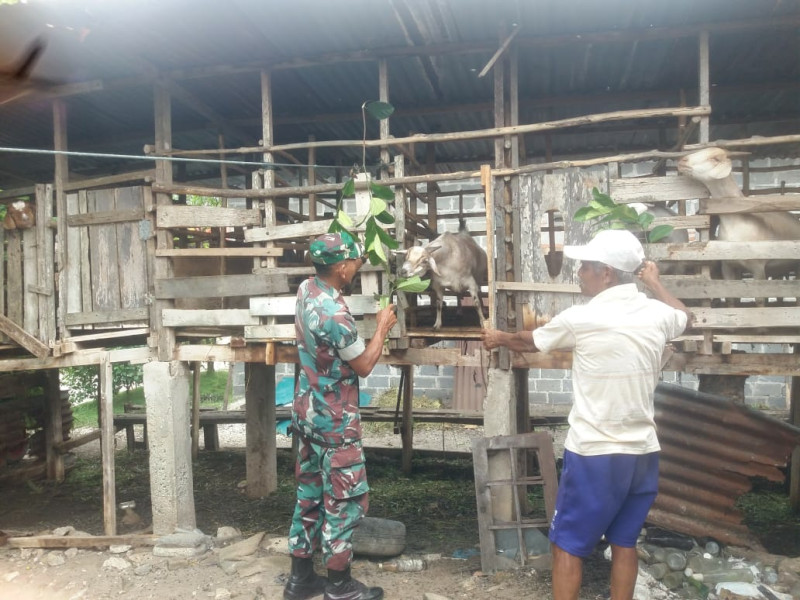 Sertu Nono Laksanakan Giat Cegah PMK