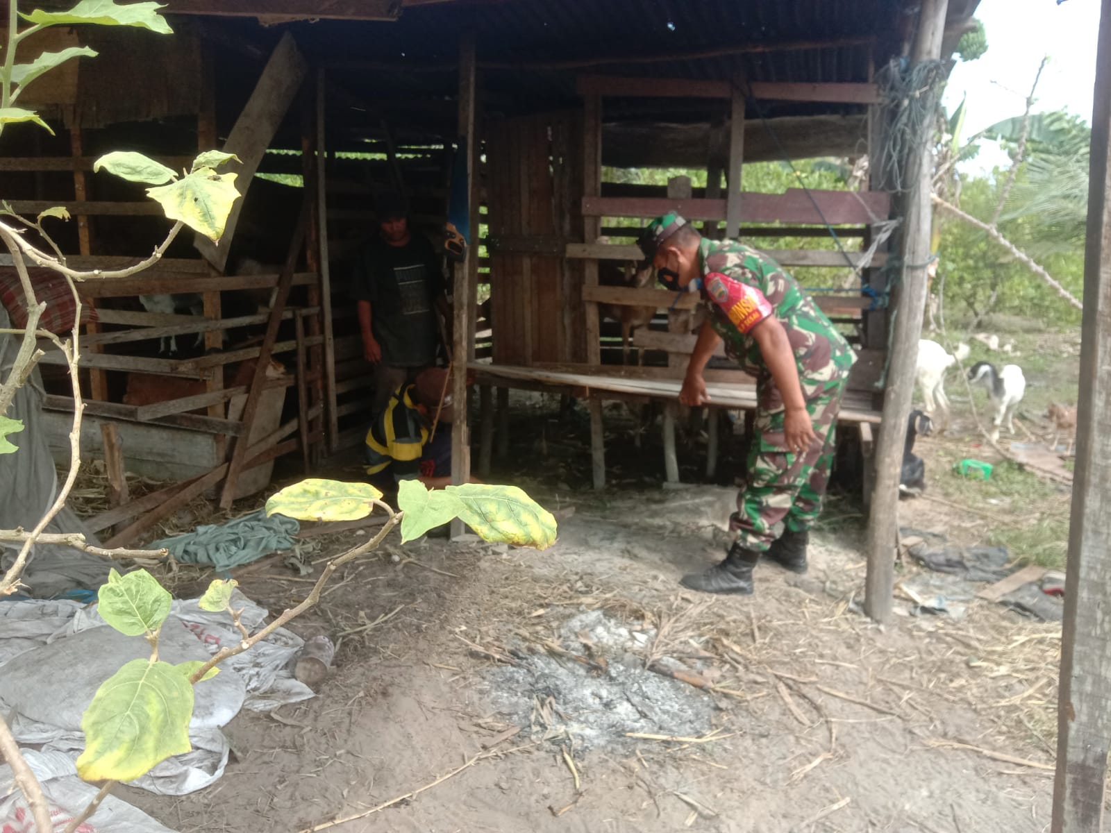 Giat Cegah PMK Oleh Serda Priyo Sudarmo