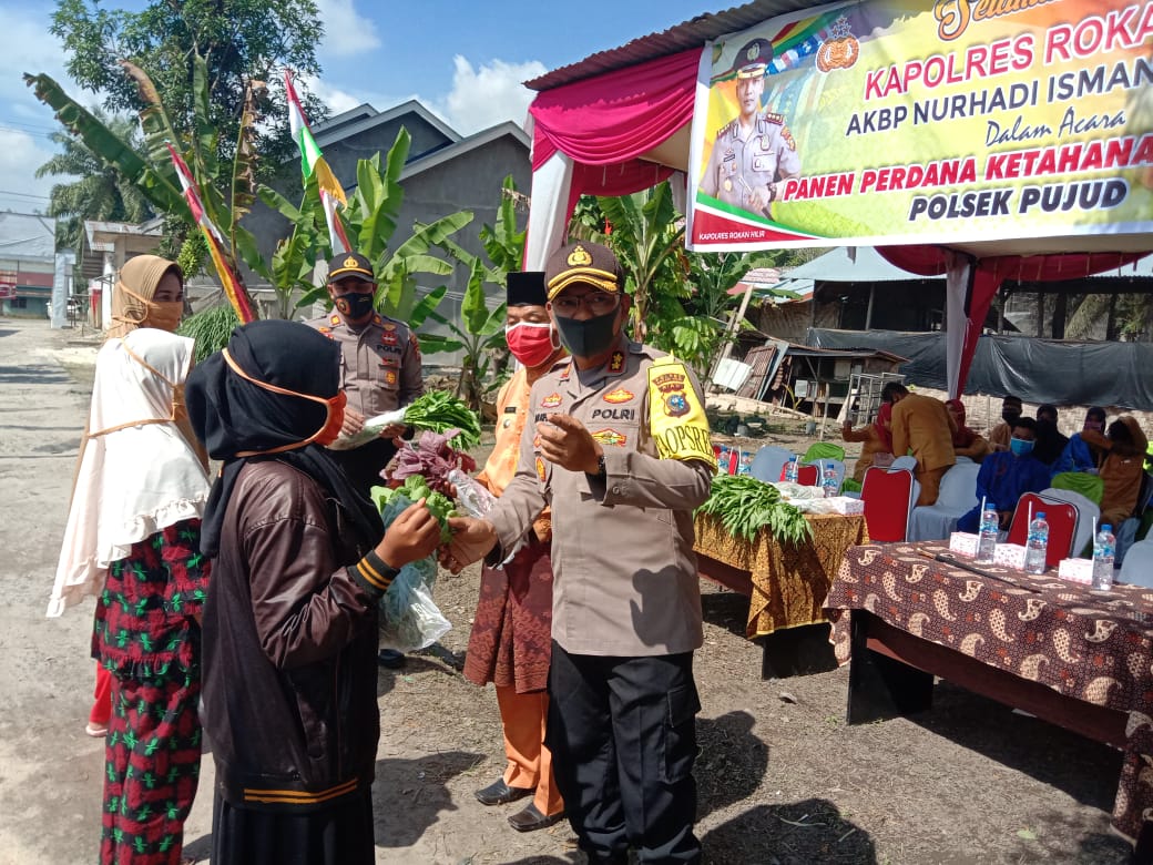 Kapolres Rohil Bagikan Hasil Panen Perdana Ketahanan Pangan Kepada Masyarakat
