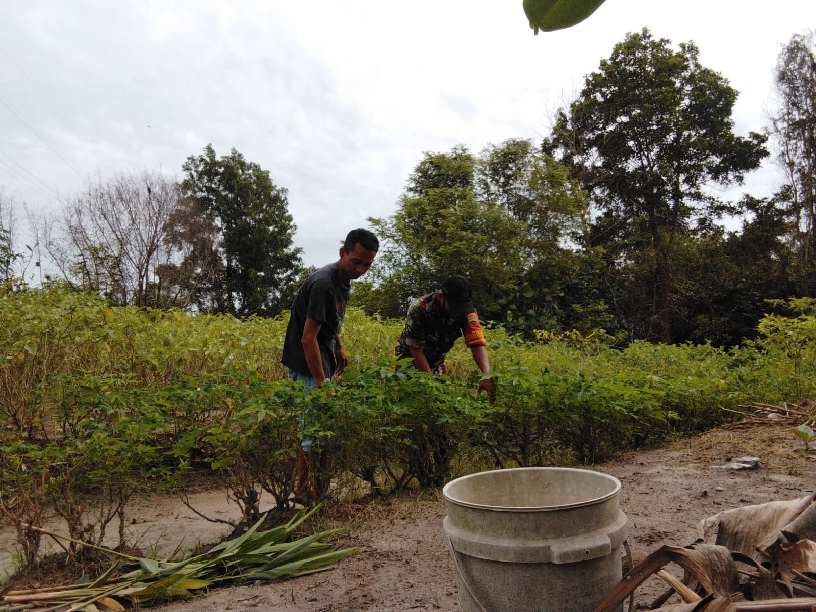 Sertu Abu Kasim Datangi Petani Terong dan Sosialisasikan Pencegahan Karhutla