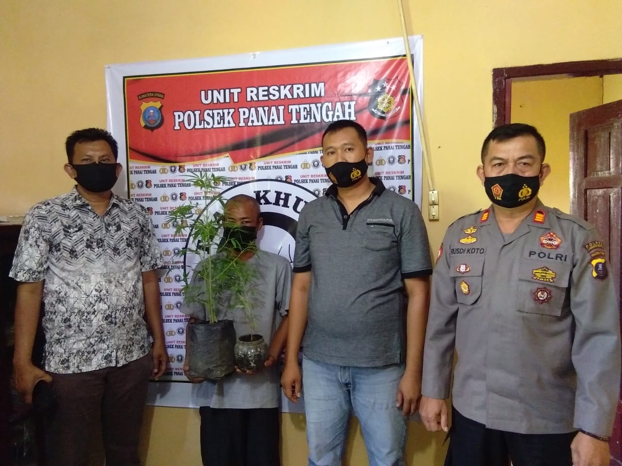 Ops Antik Toba 2021, Polsek Panai Tengah Ringkus Pemilik 4 Batang Ganja