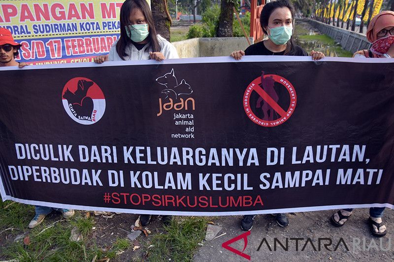 Kampanye Menentang Sirkus Lumba-lumba Pekanbaru Berlanjut ke Sekolah