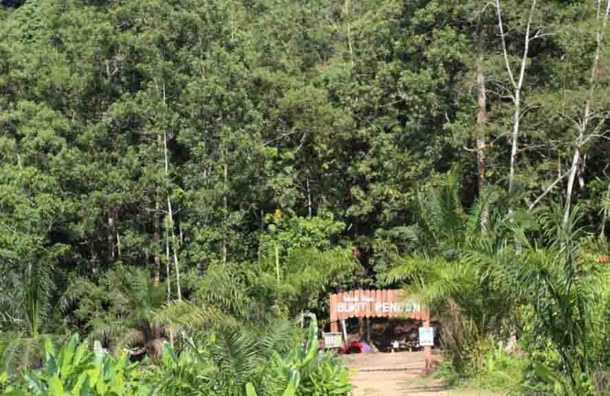 Menarik Untuk Dikunjungi! Inilah Sejarah Wisata Alam Bukit Pendam