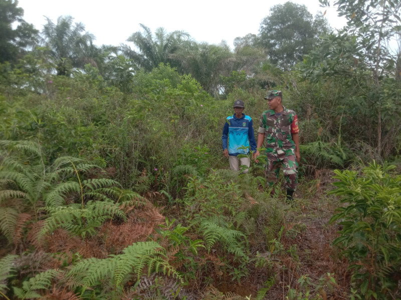 Babinsa Mundam Sosialisasikan Larangan Pembakaran Lahan di Parit Ginen