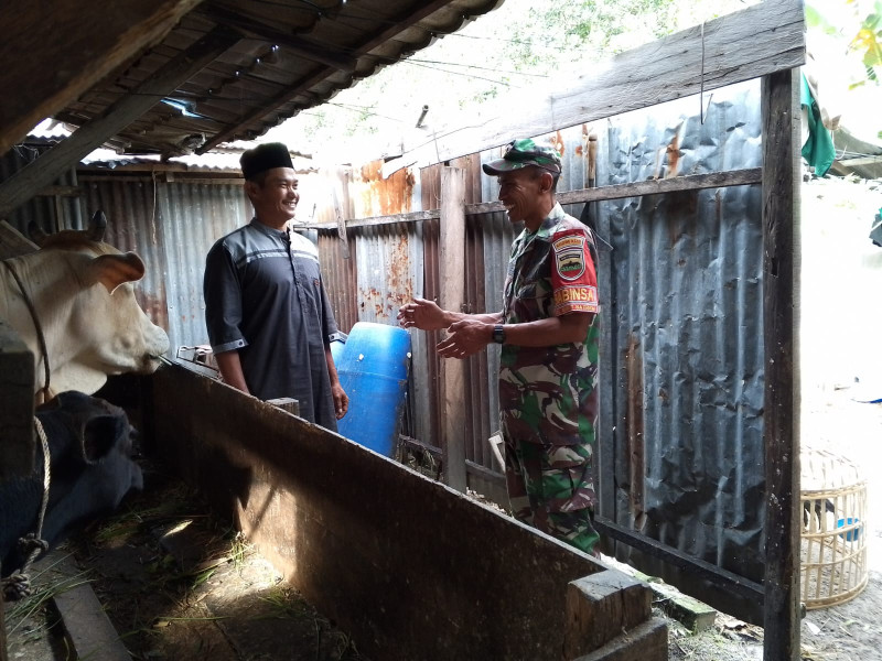 Sertu Nono Sosialisasi Pencegahan PMK