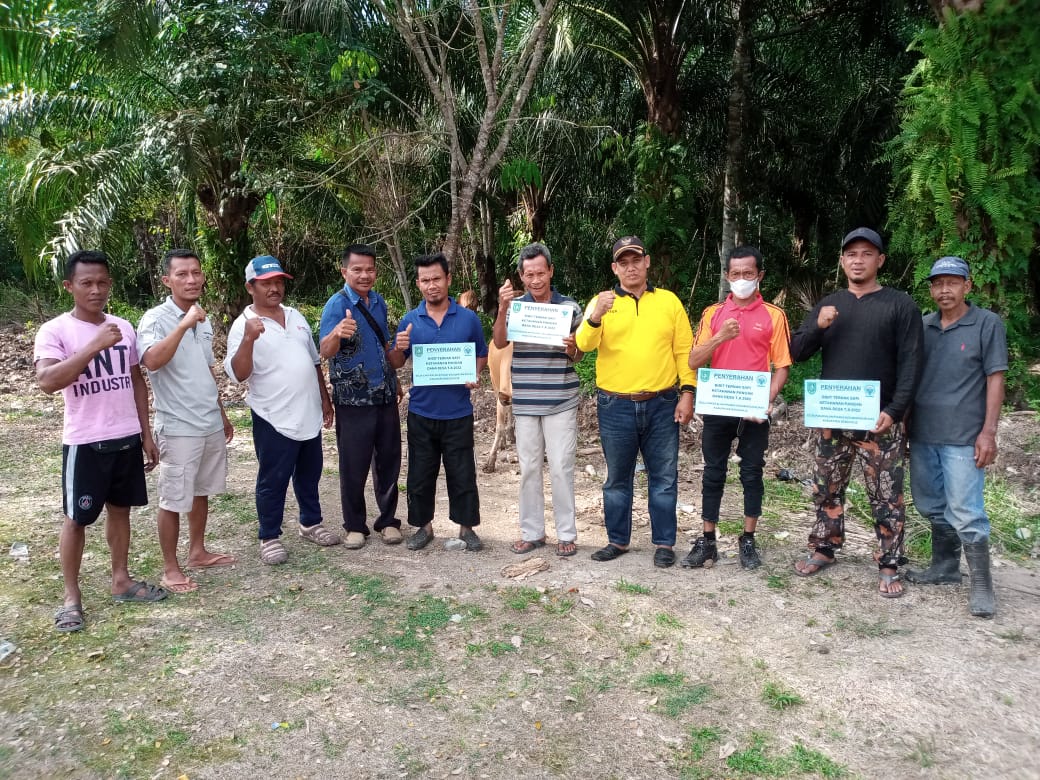 Manfaatkan Dana Desa, Pemdes Pangkalan Pinang Serah Terima 16 Ekor Bantuan Bibit Sapi