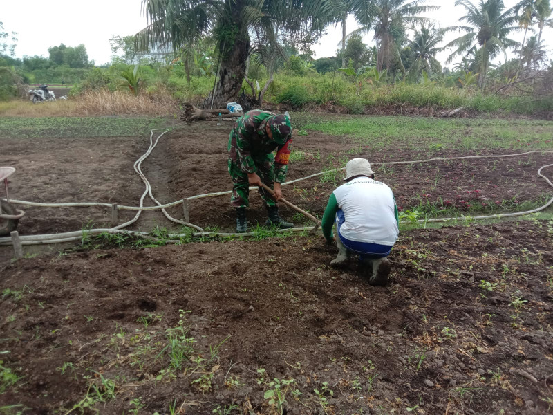 Petani Bayam di RT 03 Senang Didampingi Oleh Babinsa Serda Agustinus