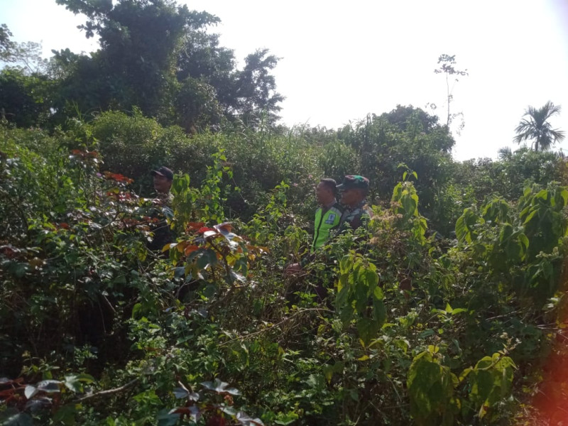 Cegah Bencana Karhutla, Babinsa Serda K Sinaga Laksanakan Patroli