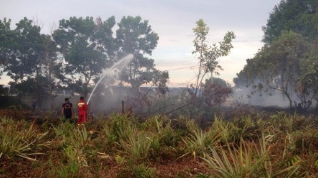 Sudah 108,5 Hektar Lahan di Riau Terbakar