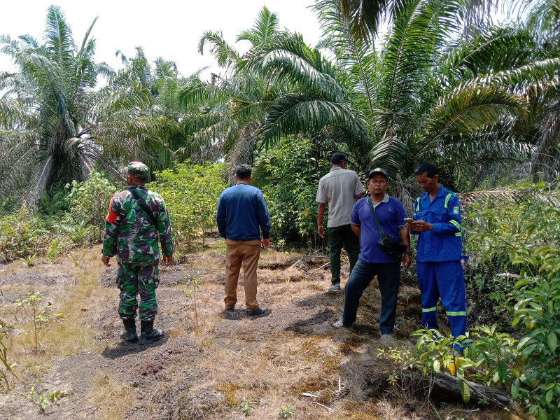 Mewakili Koramil 03, Babinsa Laksanakan Sosialisasi Pencegahan Karhutla