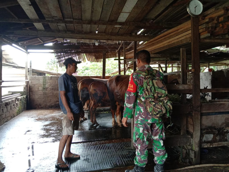 Semangat Berantas PMK, Sertu Jainal Sosialisakan Pencegahan ke Peternak
