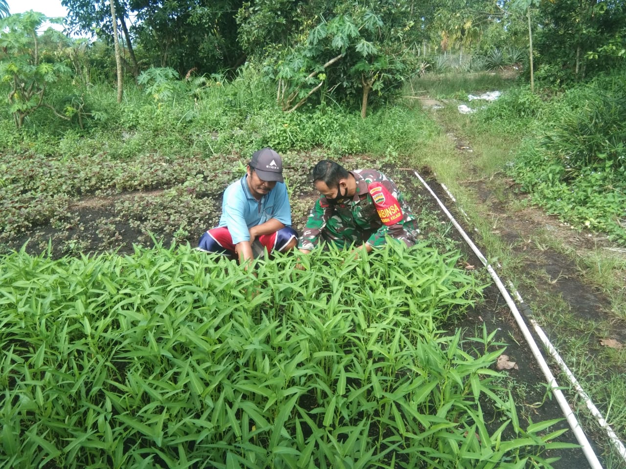 Kopda Andri Laksanakan Pendampingan Karya Nyata