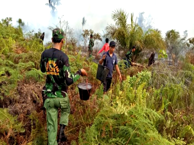 Akibat Panas Terik Beberapa Hari, 2 HA Lahan Gambut di Bengkalis Terbakar