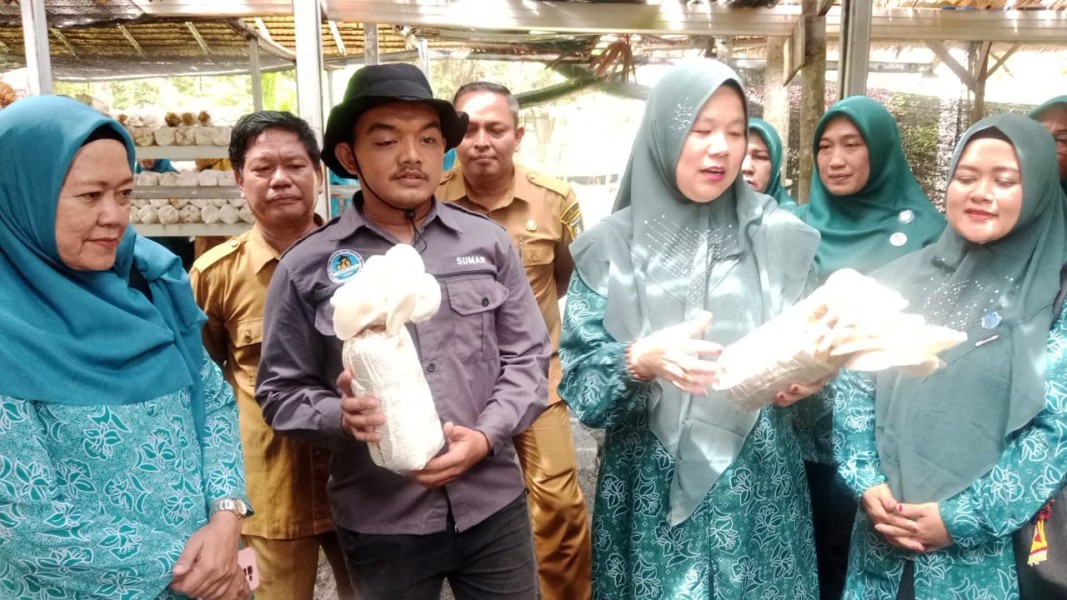 Ketua TP PKK Riau akan Kunjungi Rumah Jamur, Posyandu, dan Program Unggulan di Tanjung Penyembal Dumai